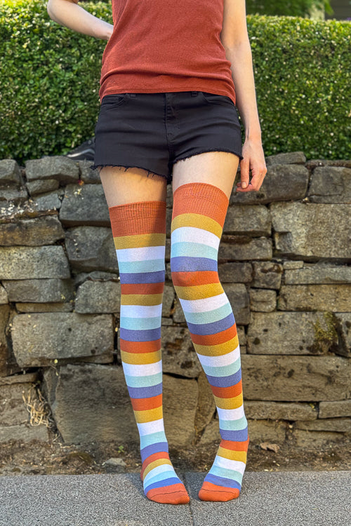 Pride Stripes Extraordinary Thigh High Socks - AroAce