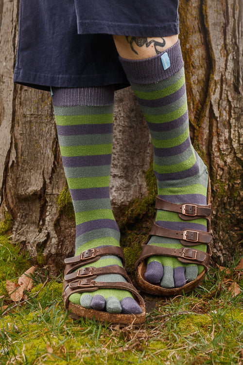 Stripy Crew Toe Socks - Sage Stripe