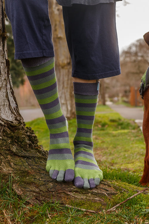Stripy Crew Toe Socks - Sage Stripes