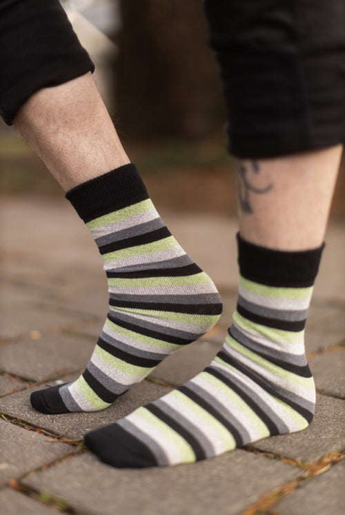 Pride Stripes Cotton Crew Socks - aromantic