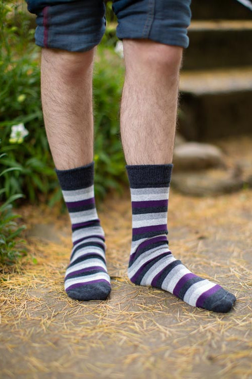 Pride Stripes Cotton Crew Socks - asexual