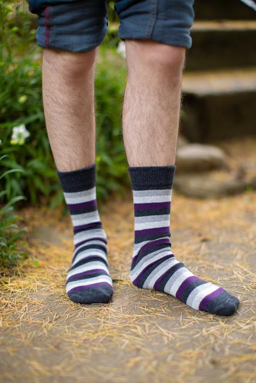 Pride Stripes Cotton Crew Socks - asexual