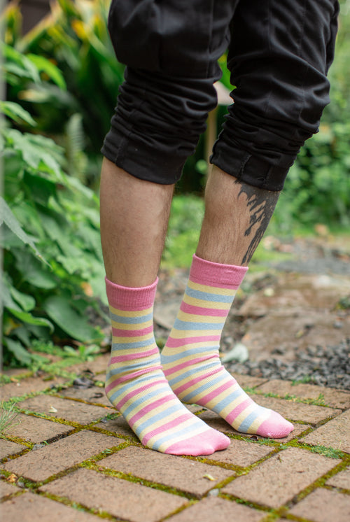 Pride Stripes Cotton Crew Socks - pansexual