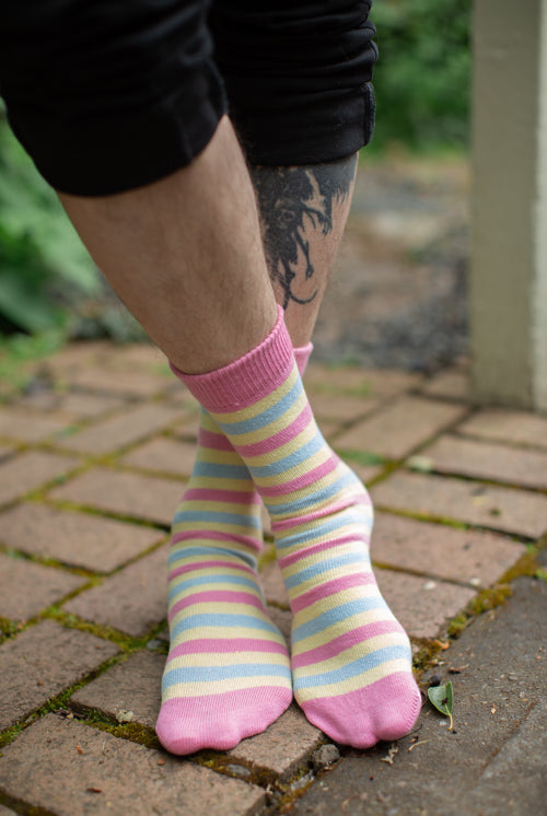 Pride Stripes Cotton Crew Socks - pansexual