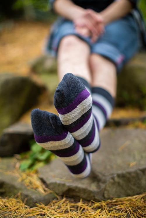 Pride Stripes Cotton Crew Socks - asexual