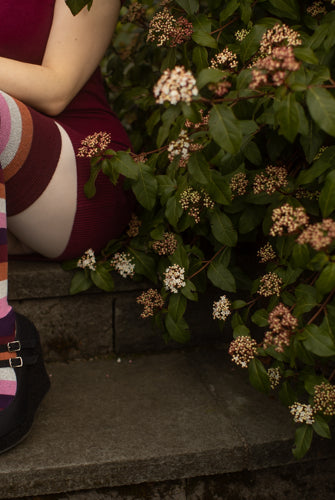 Pride Stripes Extraordinary Thigh High Socks - lesbian