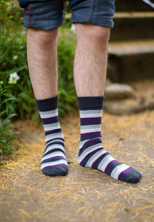 Pride Stripes Cotton Crew Socks - asexual
