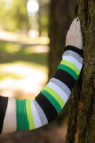 Pride Stripes Arm Warmers - Aromantic
